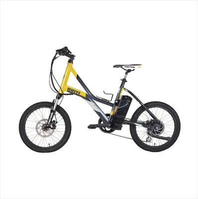 OEM بطارية بندقية فاسيال 24V 2600Mah دراجة كهربائية بطارية قابلة للإزالة